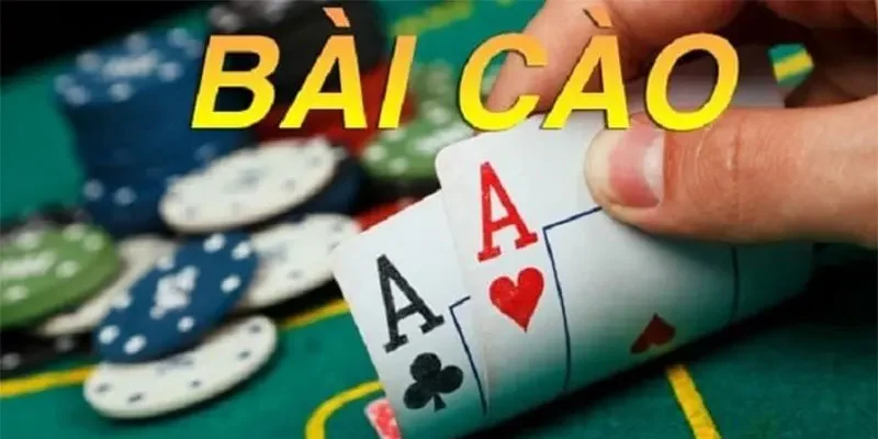 bài cào
