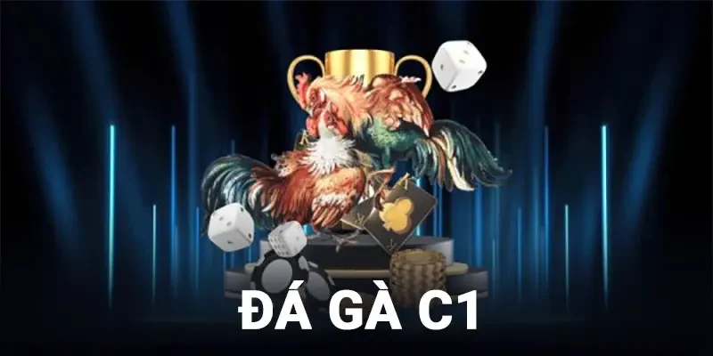 đá gà c1