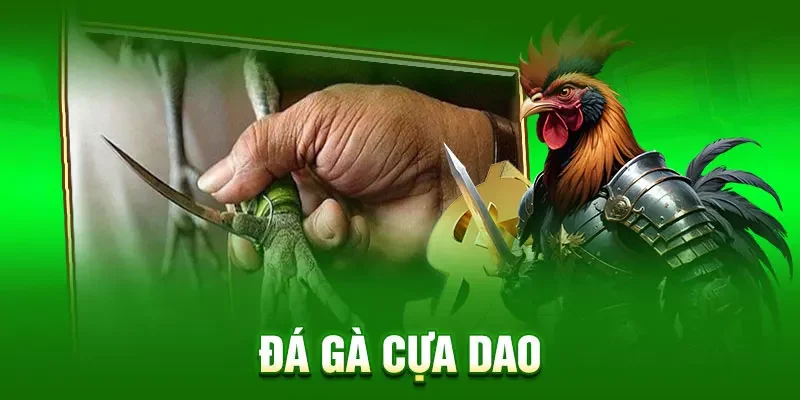 đá gà cựa dao