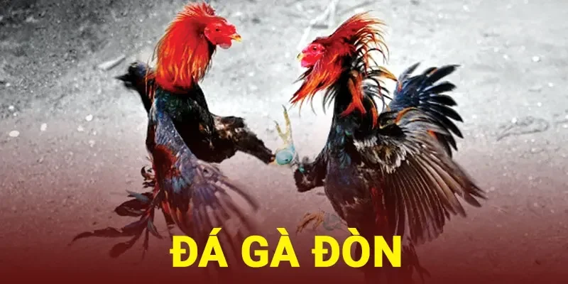 đá gà đòn