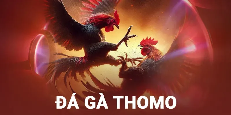 đá gà thomo